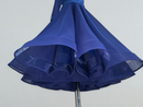 royal blue girls ballroom dress