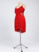 Salsa fringe dress full-length three-quarter view