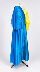 Blue cape sleeve back view