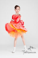 Velor ballroom dance dress